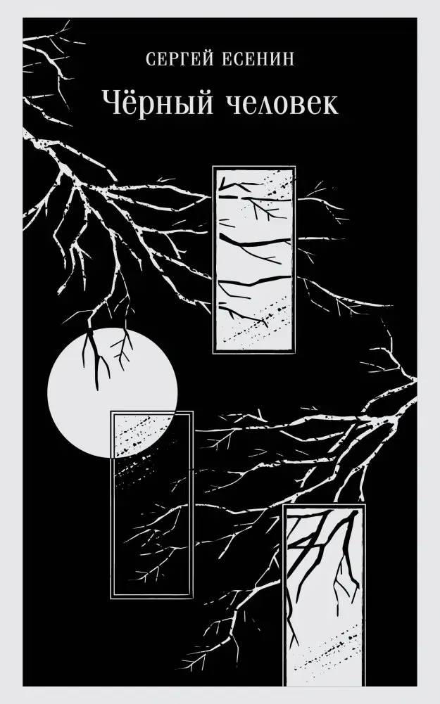 Чёрный человек фото книги