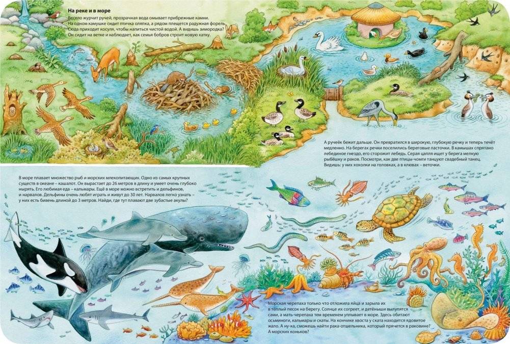 Мир животных фото книги 3