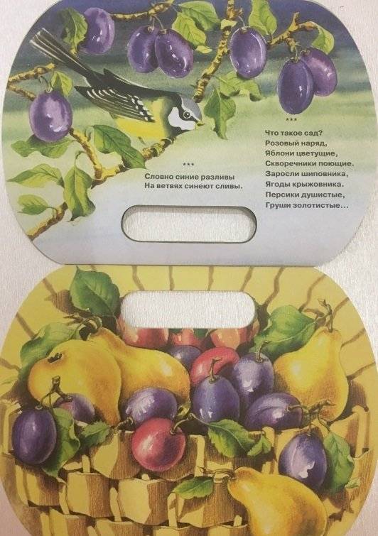 В саду фото книги 4