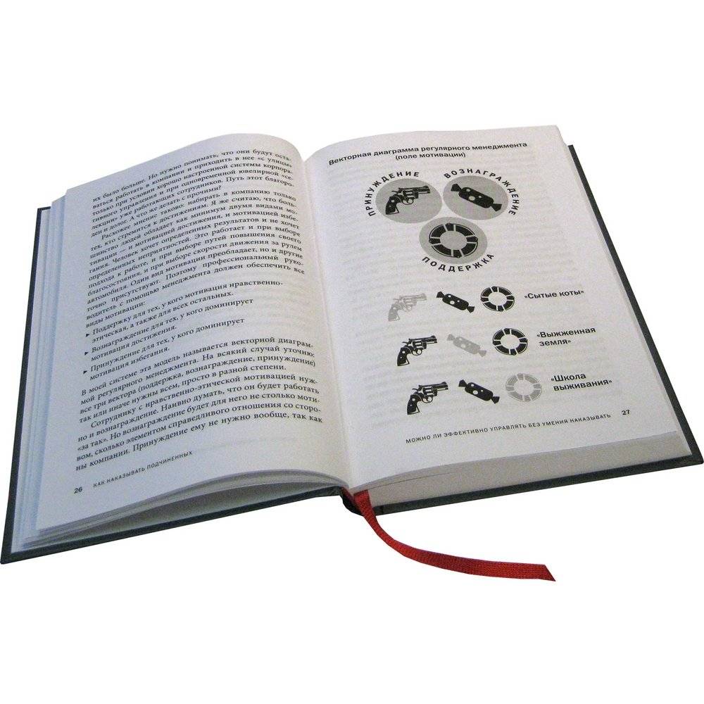 Как наказывать подчиненных: за что, для чего, каким образом фото книги 3