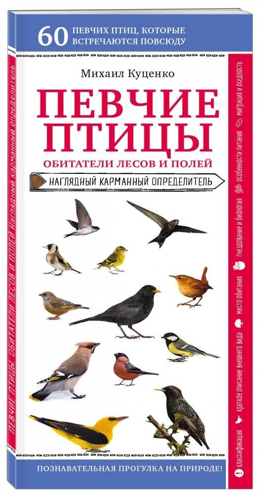 Певчие птицы. Обитатели лесов и полей фото книги 2