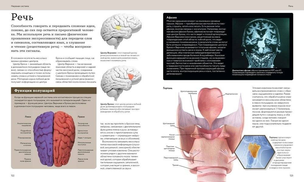 Анатомия человека. Визуальный гид по всем системам организма: норма и патологии фото книги 4