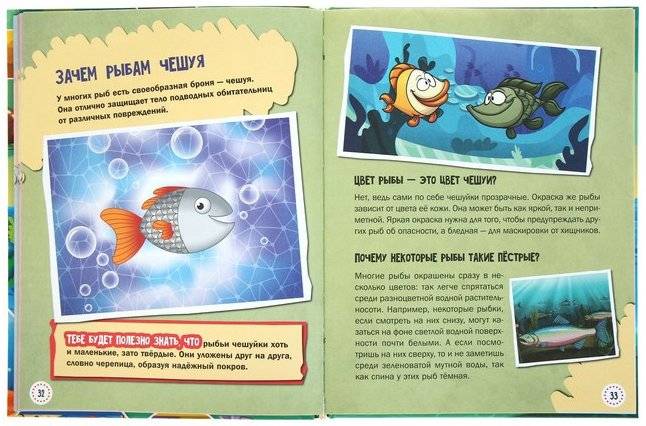 1000 почему и отчего. Про подводный мир фото книги 2
