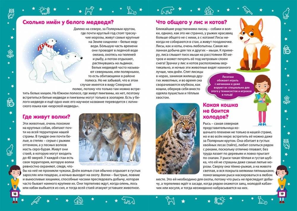 Детская энциклопедия в вопросах и ответах. Лучший подарок для девочки фото книги 3