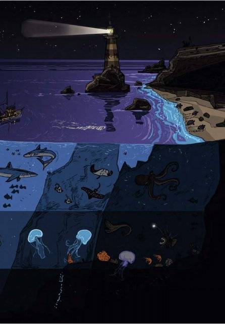 Большая книга темноты фото книги 4