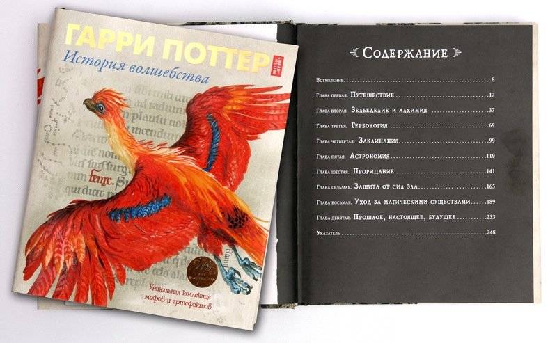 Гарри Поттер. История волшебства фото книги 2