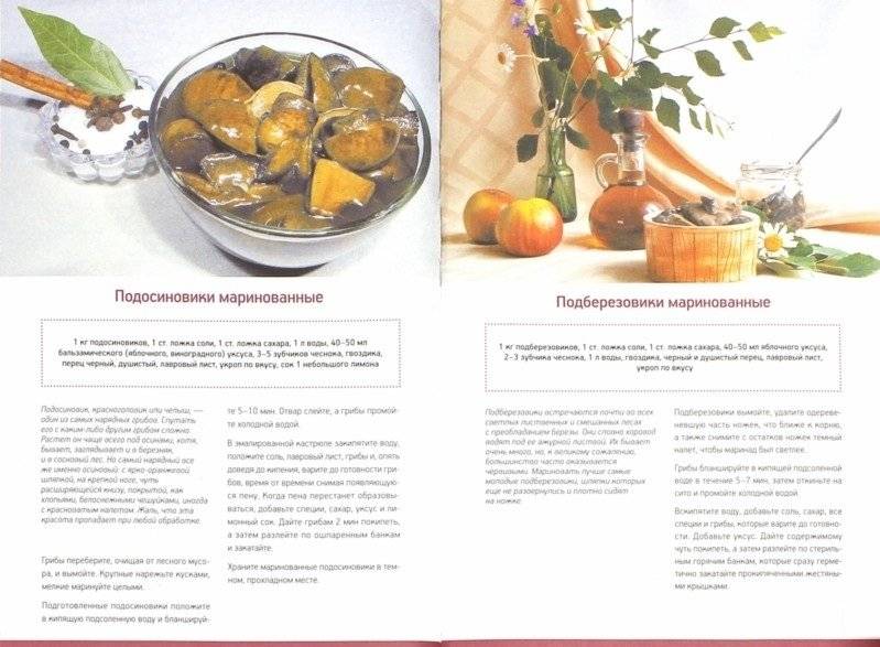 Грибные заготовки. 27 проверенных рецептов фото книги 2