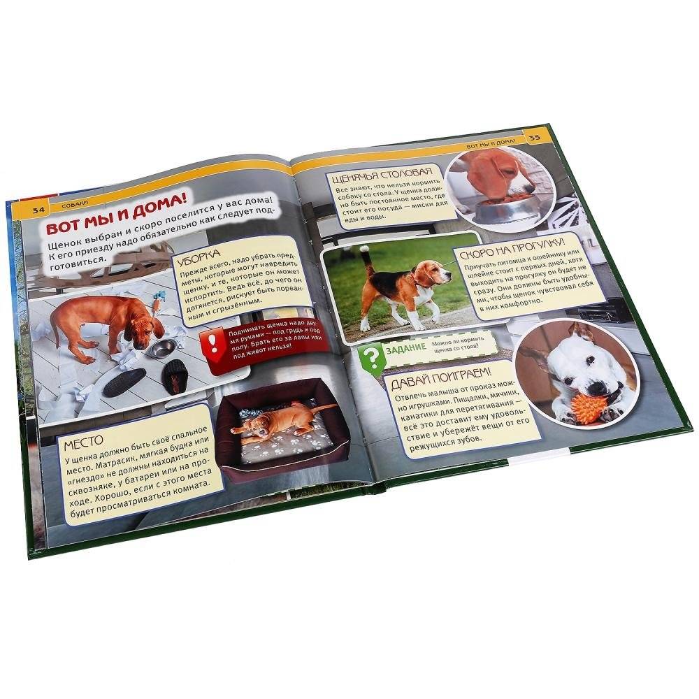 Собаки фото книги 3