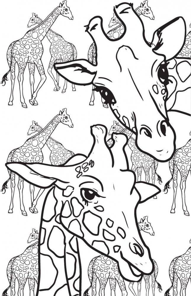 Удивительные животные. Мини-раскраска-антистресс для творчества и вдохновения фото книги 6