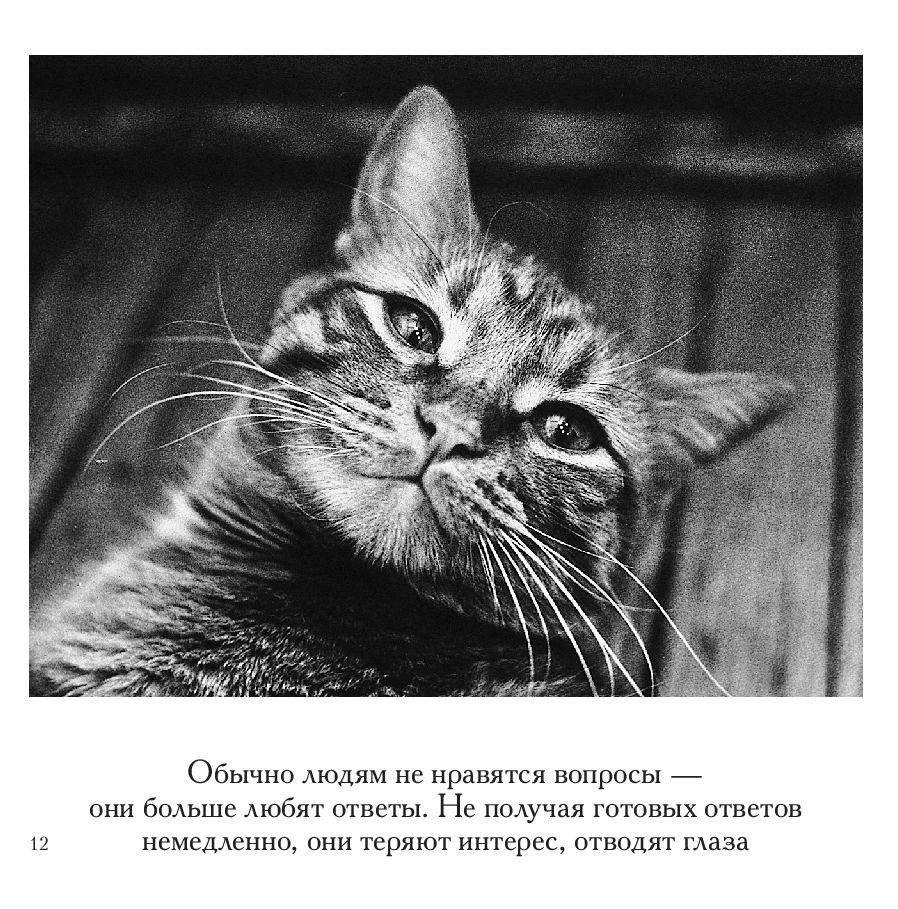 Смысл жизни фото книги 9