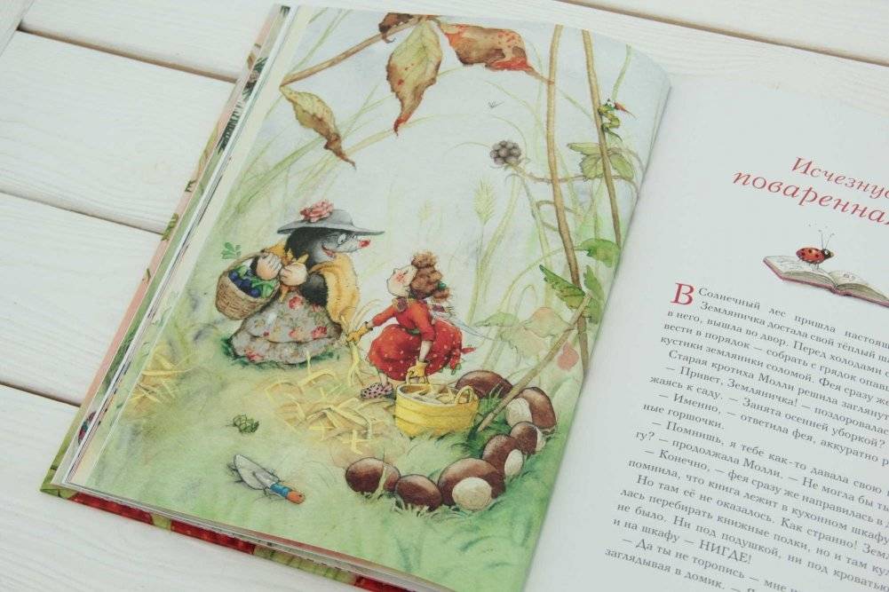 Земляничная фея. Весёлое путешествие фото книги 3