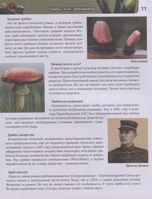 Энциклопедия. Живая природа фото книги 4