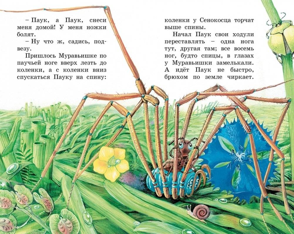 Как Муравьишка домой спешил фото книги 4