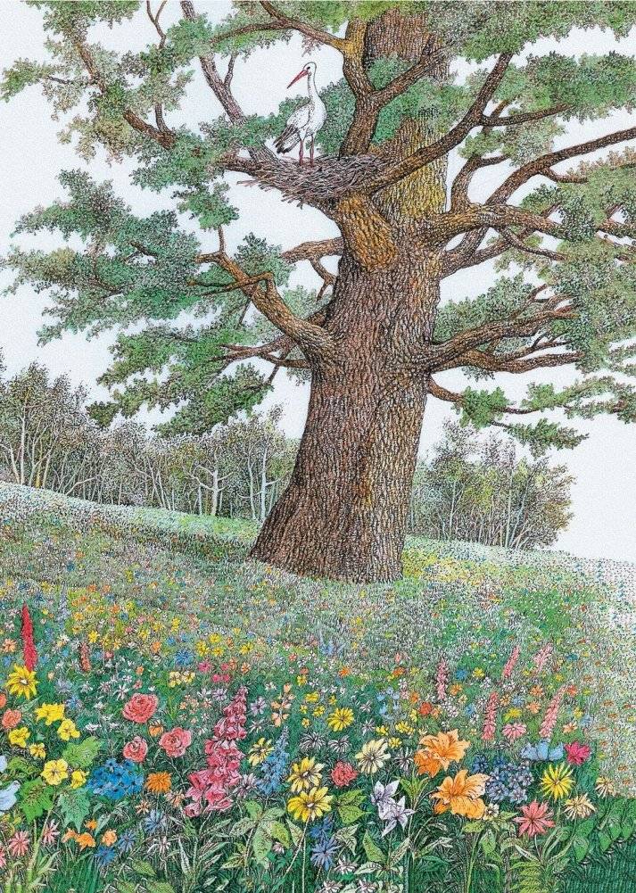 Безыменная кветка. Казкі фото книги 10