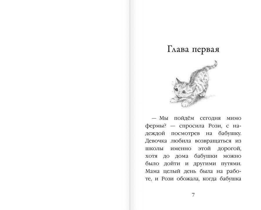 Котёнок Рыжик, или Как найти сокровище фото книги 5