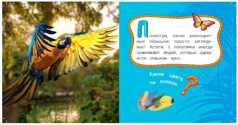Попугай фото книги 2