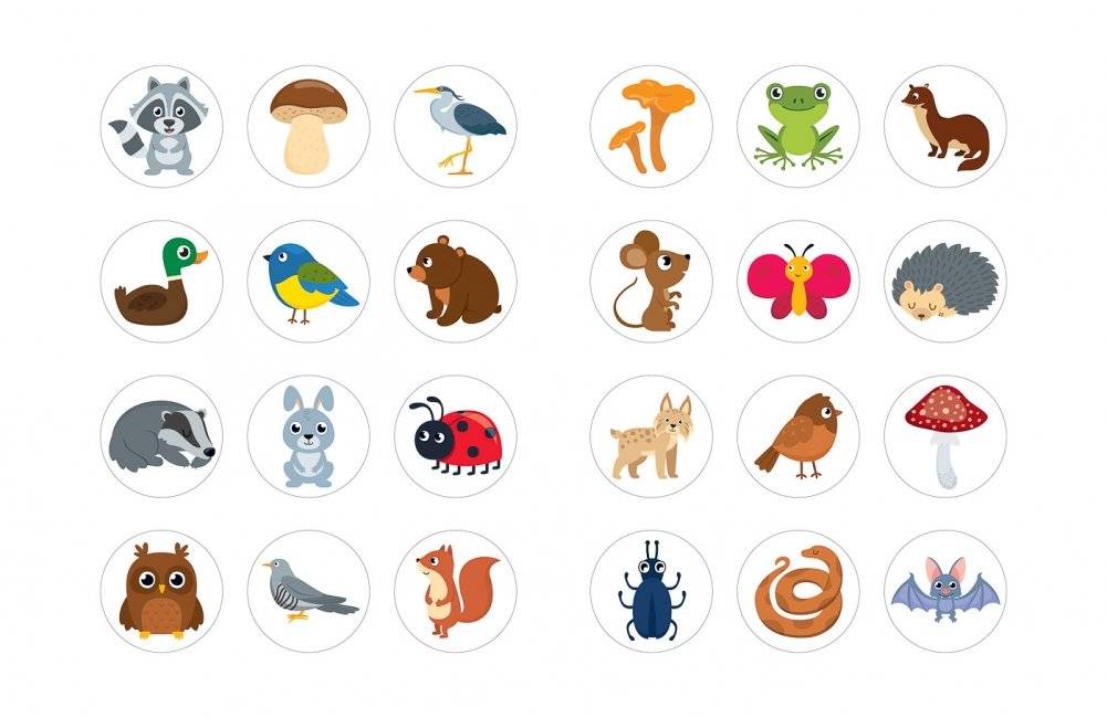 В лесу. Книжка с наклейками фото книги 2