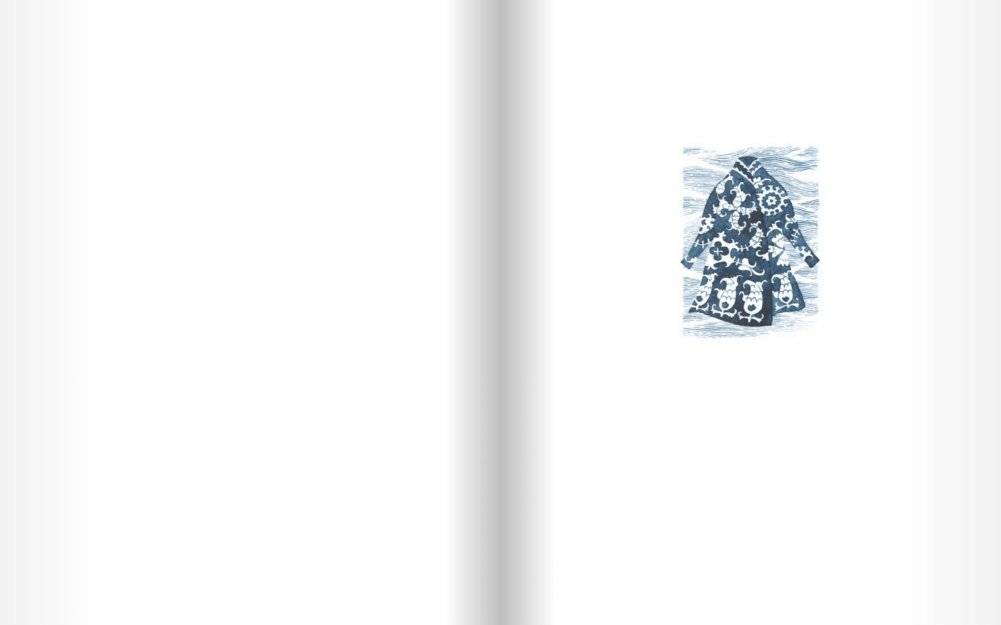 Айасель. Вечер в степи фото книги 2