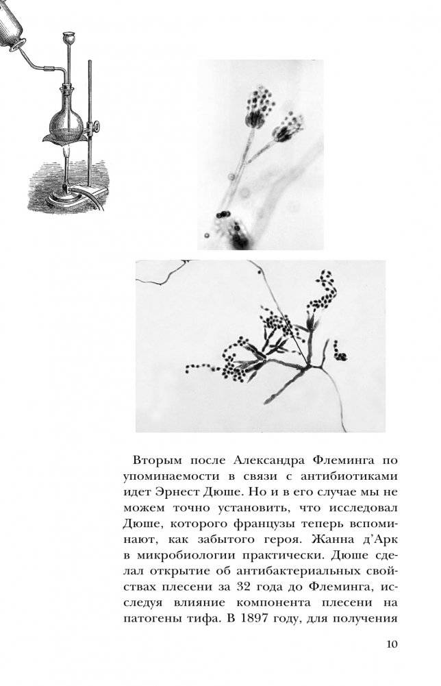Homo Viridae. Человек как вирус фото книги 9