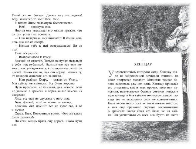 Бесшабашный. Книга 1. Камень во плоти фото книги 6