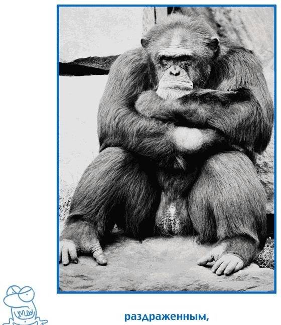 Когда тебе грустно... для детей фото книги 4