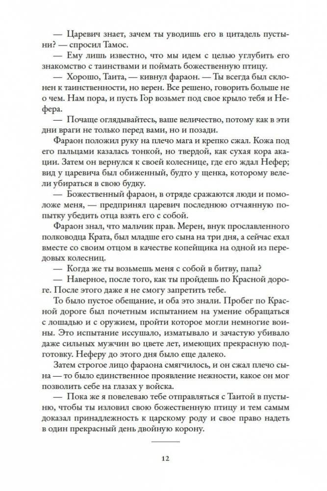 Чародей фото книги 13