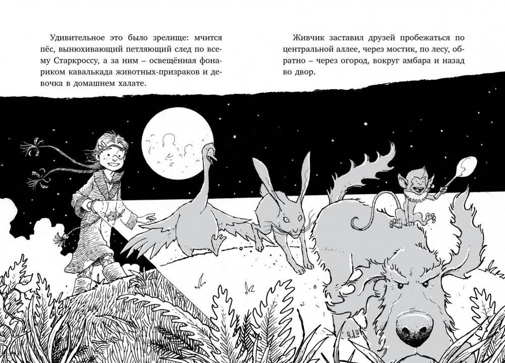 Лошадь по имени Луна фото книги 3