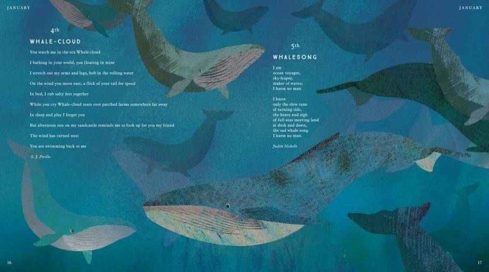 Tiger, Tiger, Burning Bright! An Animal Poem for Every Day of the Year фото книги 4