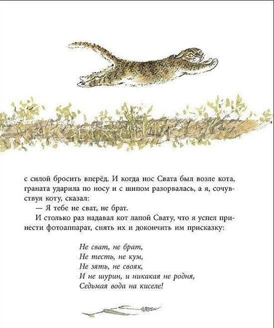 Берестяная трубочка фото книги 6