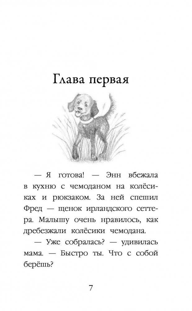 Щенок Фред, или Уплывший дом фото книги 8