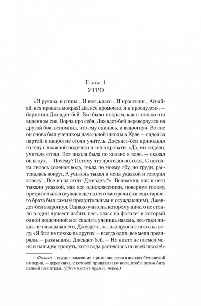 Джевдет-бей и сыновья фото книги 5