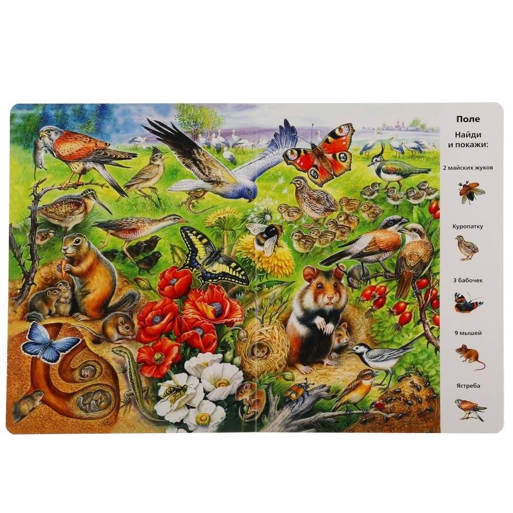 Развивающая книга с окошками "Виммельбух. Животные" фото книги 2