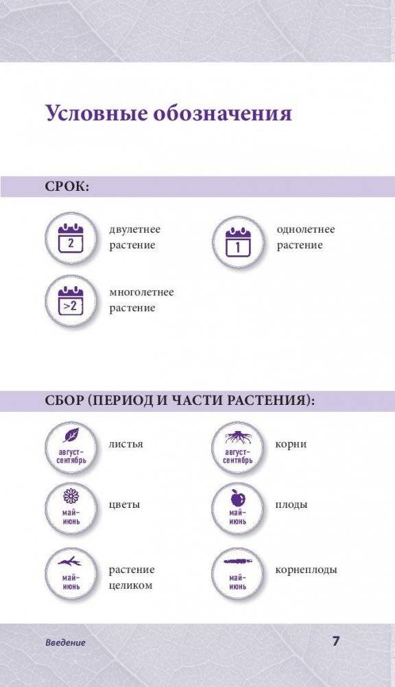 Лечебные травы. Иллюстрированный справочник-определитель фото книги 7