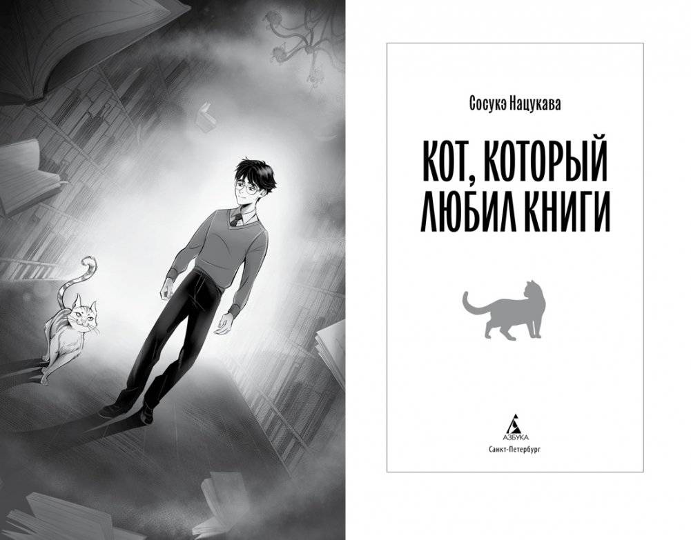 Кот, который любил книги фото книги 2