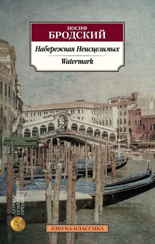 Набережная Неисцелимых. Watermark (билингва) фото книги