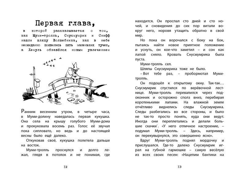 Шляпа волшебника фото книги 2