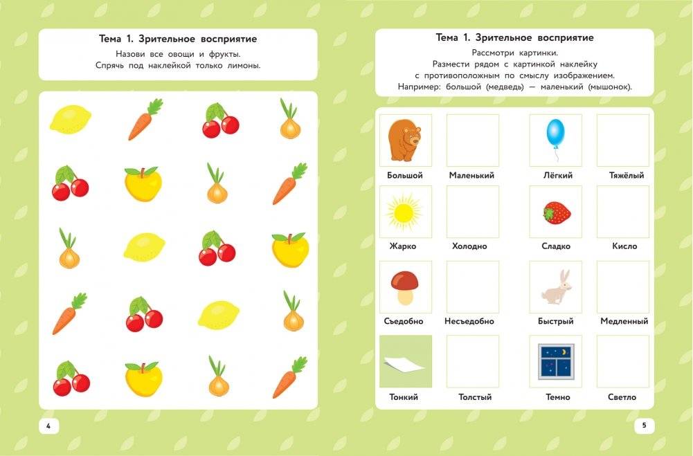 Творческие способности и память. IQ-наклейки для развития правого и левого полушарий мозга фото книги 2