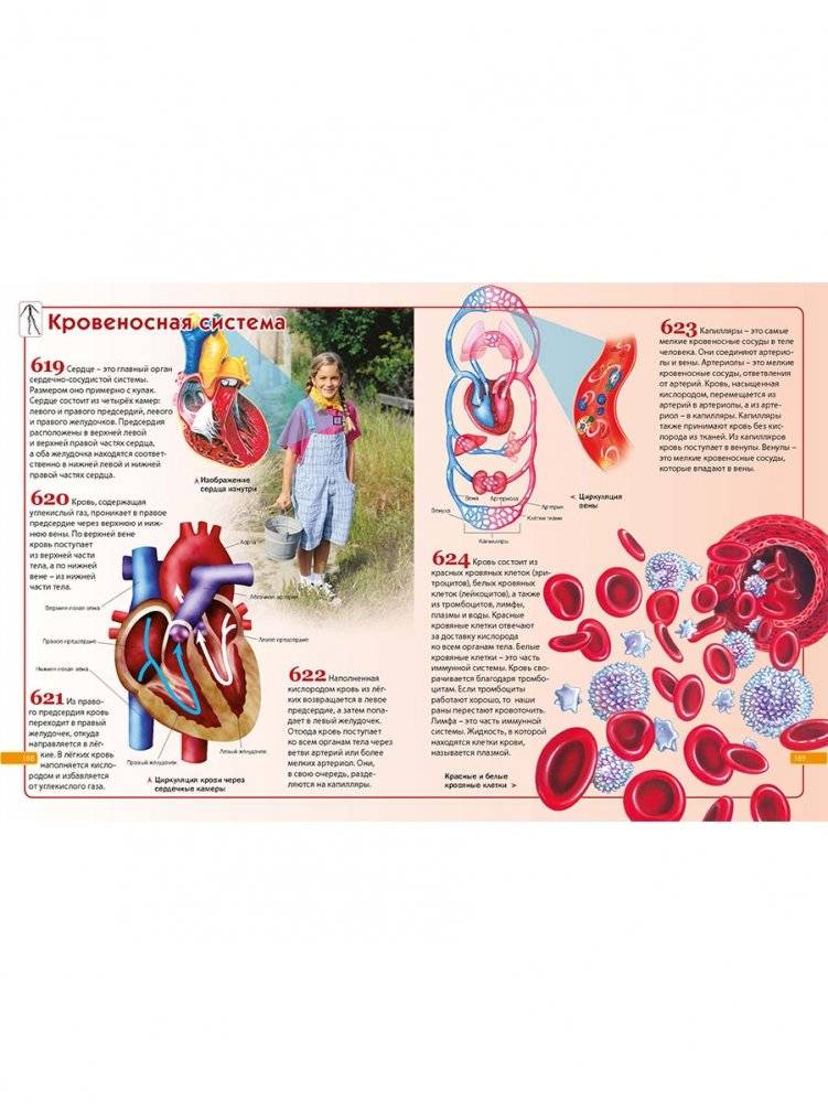 Детская энциклопедия. 1001 ответ на вопросы обо всём на свете фото книги 7