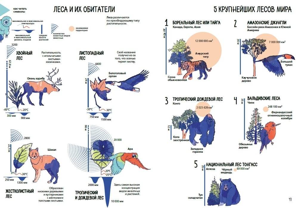 Планета Земля. Мир вокруг нас в инфографике фото книги 3