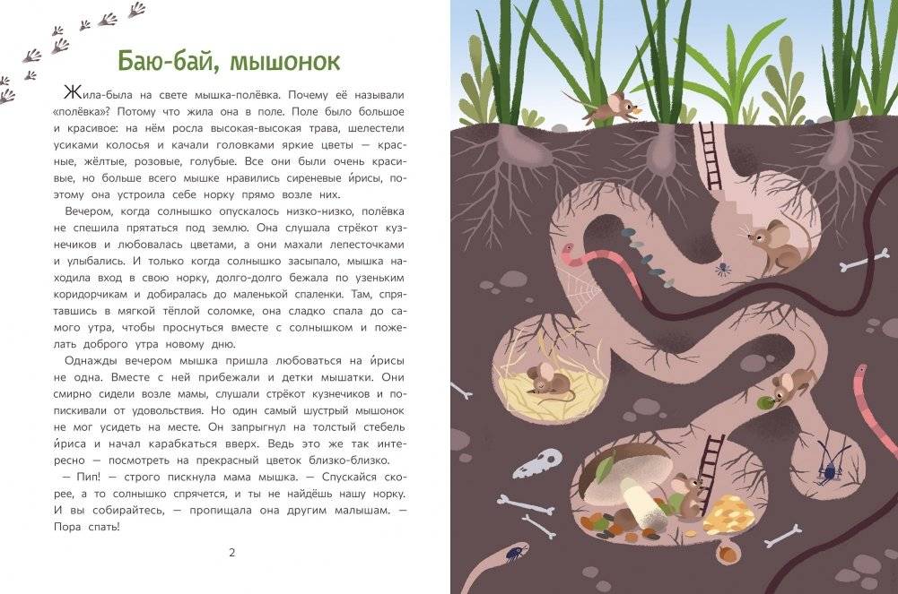 Этот удивительный мир вокруг фото книги 3