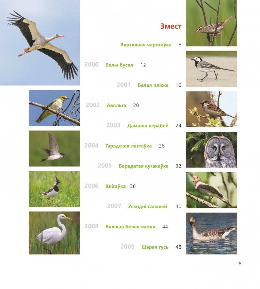 Птушка года Беларусі 2000—2020 фото книги 4