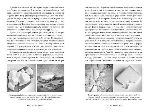 Заново изобретая колесо: молоко, микробы и битва за настоящий сыр фото книги 4