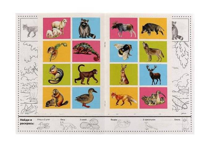 Времена года. Раскраска "Найди и раскрась" с наклейками фото книги 2