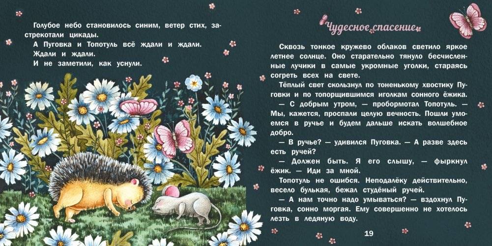 Пуговка и Топотуль. Шкатулочка для добра фото книги 3