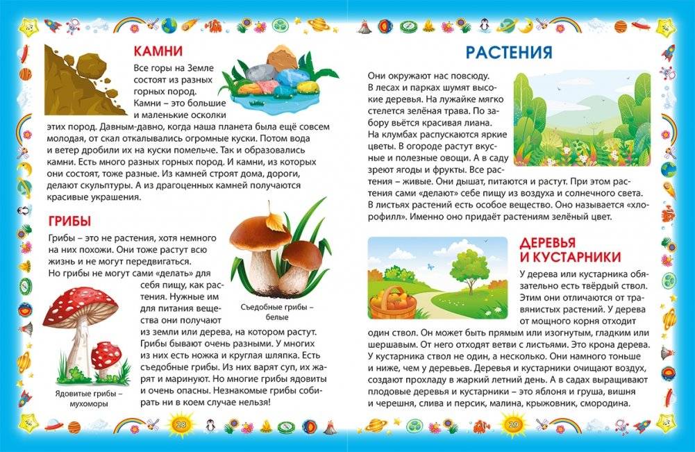 Мир вокруг нас. Энциклопедия для малышей фото книги 2