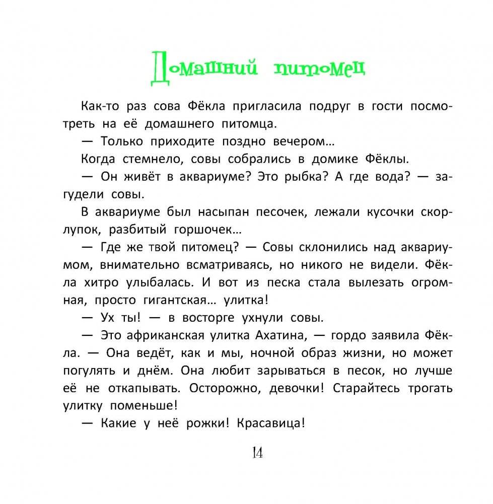 Нереальные совы и их хобби фото книги 3