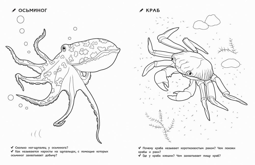 Раскраска для детского сада. Кто живет в воде фото книги 3