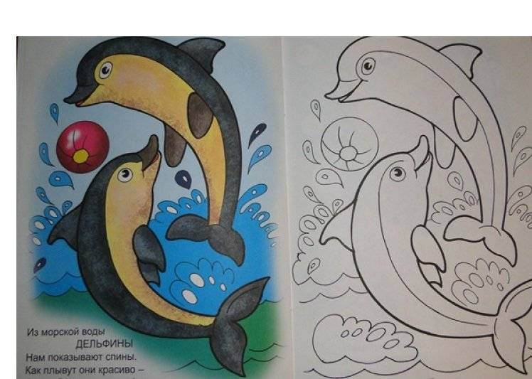 Кто живет в воде фото книги 3