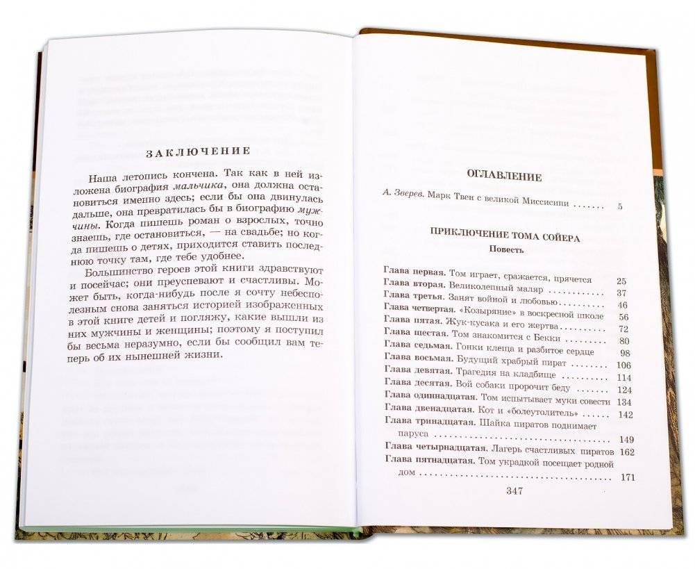 Приключения Тома Сойера фото книги 6