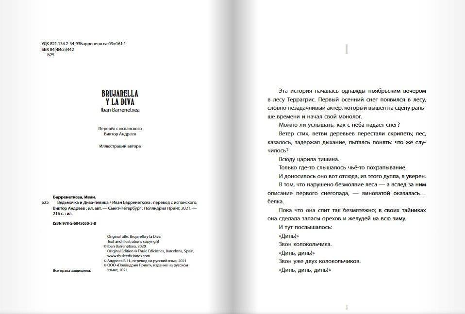 Ведьмочка и Дива-певица фото книги 2